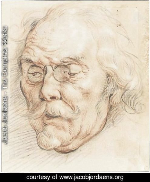 Jacob Jordaens - Head Of An Elderly Man (Adam Van Noort)