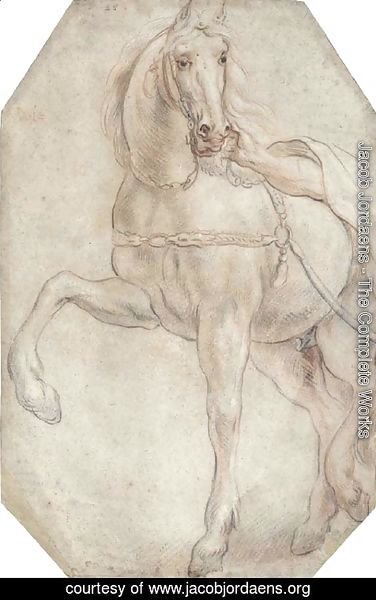 Jacob Jordaens - A harnessed horse looking to the right