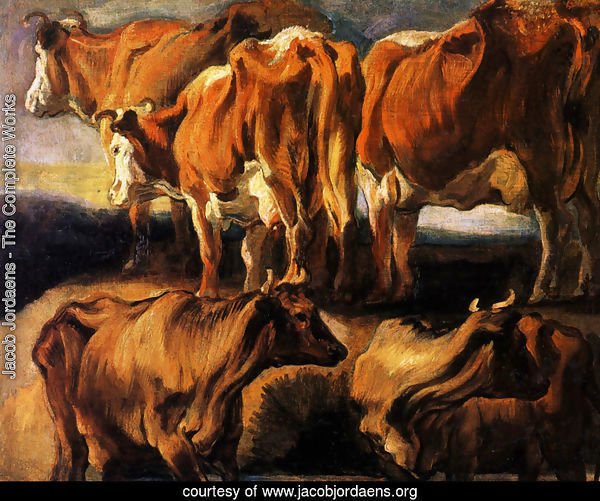 Five studies of cows
